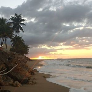 Meet your Posher, Kenny